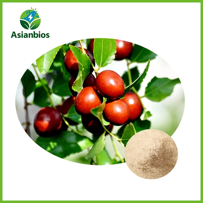 Sour Jujube Seed Powder